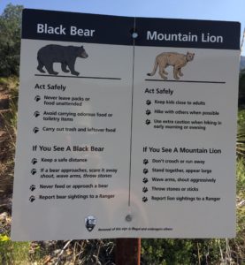 Warning sign for bears & lions
